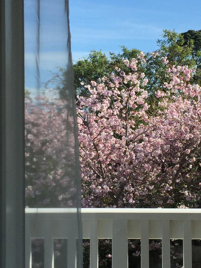 Cashmere Hills B&B Christchurch Eksteriør bilde
